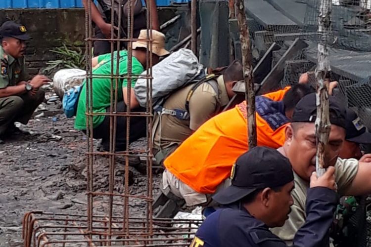 Setelah Dibius, Harimau yang Terjebak di Lorong Ruko di Riau Belum Berhasil Dievakuasi