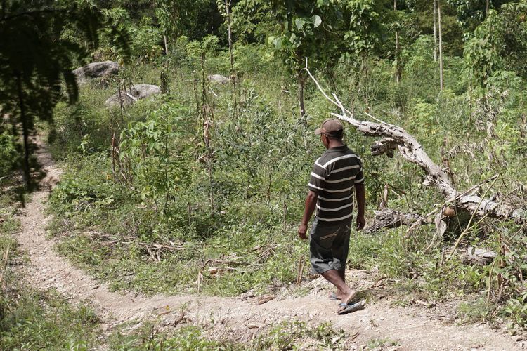 Jalan setapak menuju mata air di Desa Basmuti, NTT