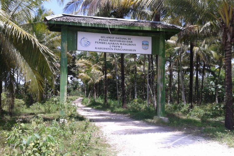 Wisata mangrove di Pantai Batukaras di Kabupaten Pangandaran, Jawa Barat, Rabu 919/12/2018).