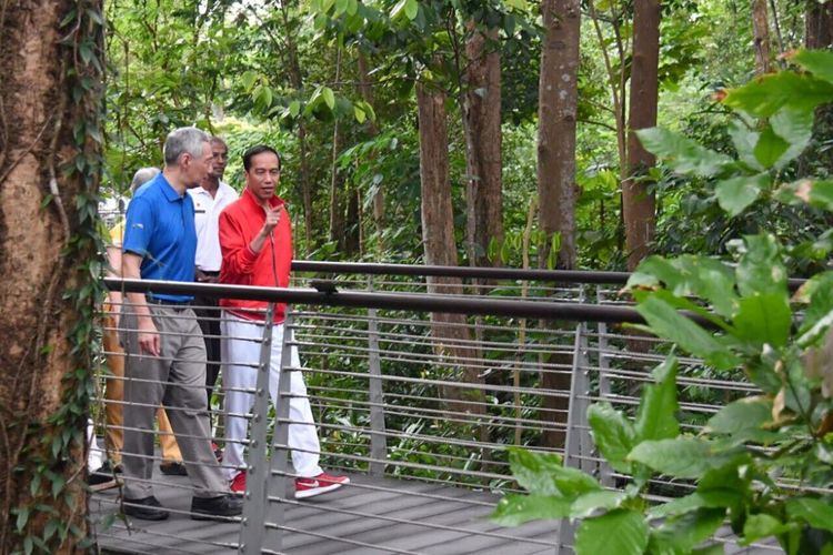 Presiden Joko Widodo dan PM Singapura Lee Hsien Loong jalan-jalan pagi di Singapore Botanical Garden, Kamis (7/9/2017).