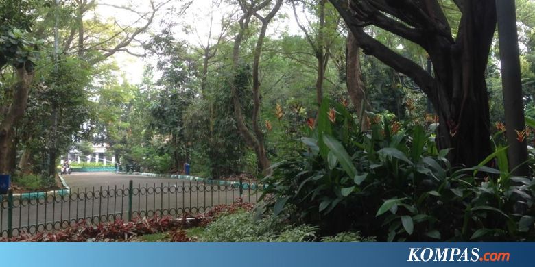 Empat Hutan Kota di Jakarta Akan Direvitalisasi - Kompas.com