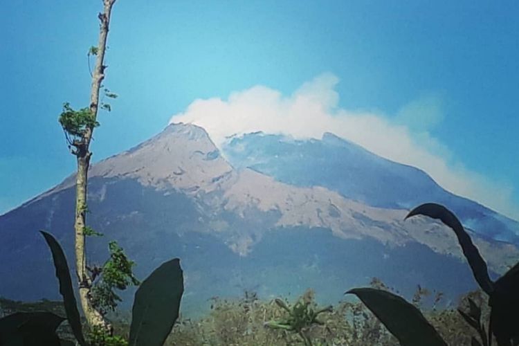 Kebakaran kawasan hutan di lereng Gunung Sumbing, perbatasan Kabupaten Magelang dan Temanggung, Selasa (11/9/2018).