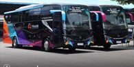 Karoseri New Armada Kebanjiran Order Bus Pariwisata