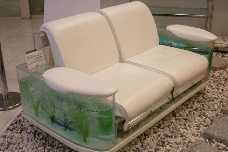 Akuarium sofa.