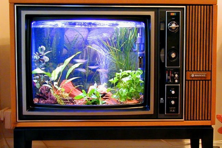 Akuarium berbentuk televisi lama.
