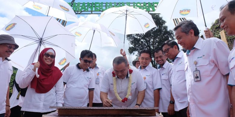 Antam inisiasi kembangkan Taman Buah Nusantara 