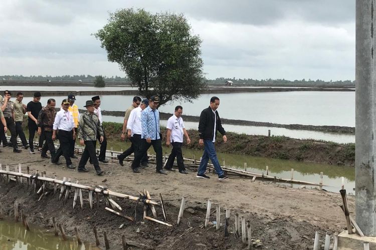Presiden Joko Widodo saat menghadiri panen raya udang di tambak Pantai Mekar, Kecamatan Muara Gembong, Kabupaten Bekasi, Jawa Barat, Rabu (30/1/2019).