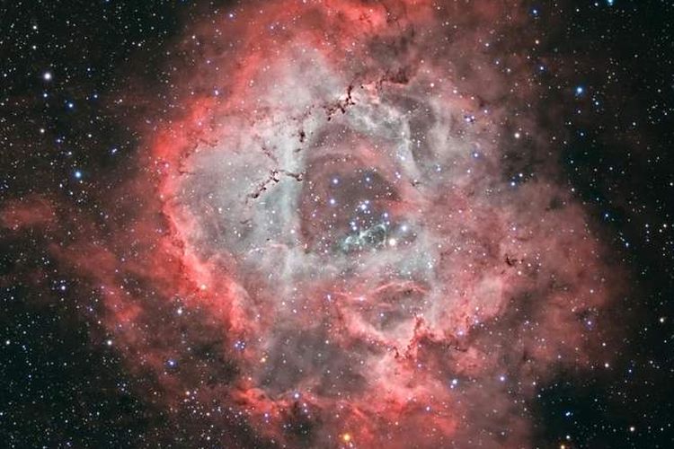 Foto Nebula Rosette yang memenangkan kompetisi NASA