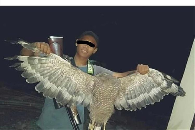 A (17) ditangkap Kepolisian Pandeglang lantaran terbukti menangkap dan mengkonsumsi burung Elang Bido yang dilindungi, Jumat (26/7/2019)