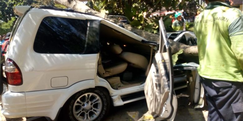 Sebuah mobil tertimpa pohon saat sedang terparkir di halaman Universitas Pancasila, Rabu (21/8/2019).