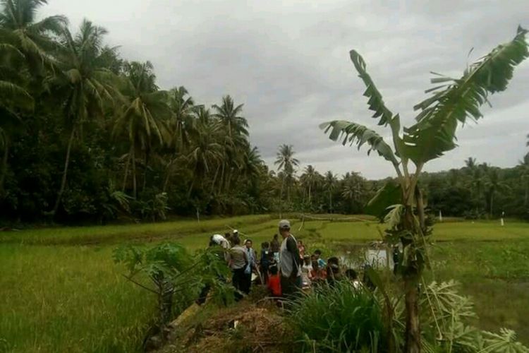 Aparat kepolisian di Kabupaten Soppeng, Sulawesi Selatan tengah menggelar olah TKP terkait peristiwa tewasnya seorang kakek akibat tertimpa pohon kelapa. Rabu, (17/1/2018).