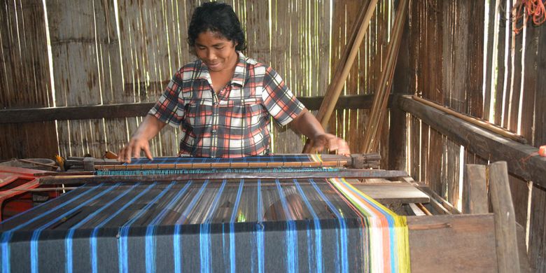 Seorang penenun di Kampung Mbui, Desa Kajuwangi, Kecamatan Elar, Kabupaten Manggarai Timur, Flores, NTT pada 2018 lalu sedang menenun kain tenun sulam bermotif Rembong di bawah kolong rumah. Kaum perempuan di kampung itu terus merawat warisan leluhur orang Rembong. Kain tenun sulam dipakai saaat ritual adat dan perkawinan.  