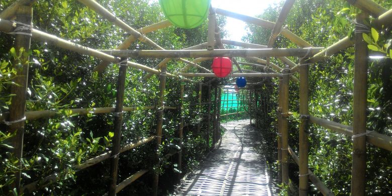Salah satu labirin mini dalam hutan mangrove MJAA, di Kulon Progo, DI Yogyakarta.