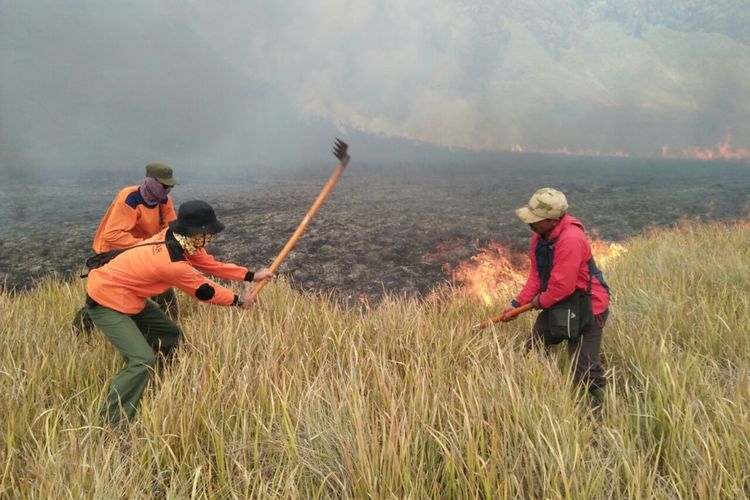 Petugas Balai Besar Taman Nasional Bromo Tengger Semeru (TNBTS) saat berusaha memadamkan api di Savana Bukit Teletubbies Gunung Bromo, Jawa Timur, Senin (11/9/2017)