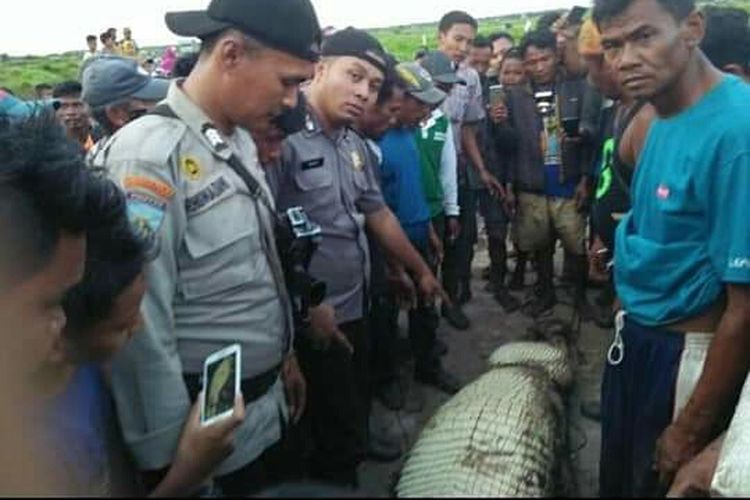 Seekor buaya ditangkap warga setelah memangsa korbannya di Kampung Teluk Lanus, Kecamatan Sungai Apit, Kabupaten Siak, Riau. 