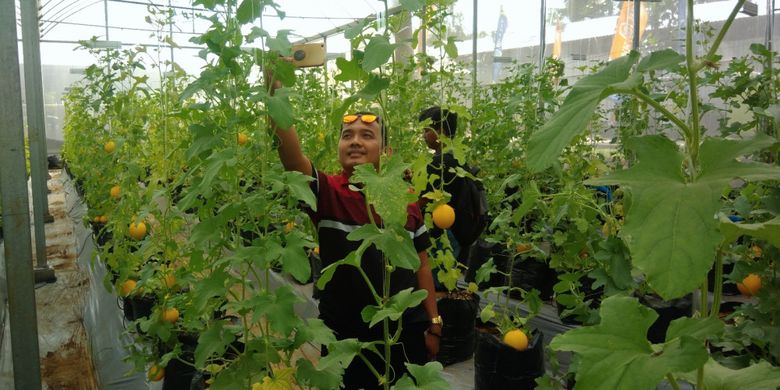 Seorang pengunjung berswafoto di Gunungkidul Argo Technopark, Desa Kepek, Kecamatan Wonosari, Gunungkidul, DI Yogyakarta, Minggu (2/12/2018).