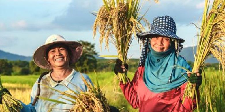 Dua petani padi perempuan sedang menunjukkan hasil panen sawahnya. 