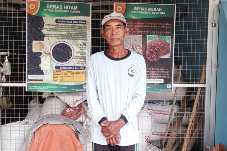 JEO- Gunarto (64), warga Pakembinangun, Sleman, Yogyakarta setia menanam beras lokal sembada hitam dan sembada merah