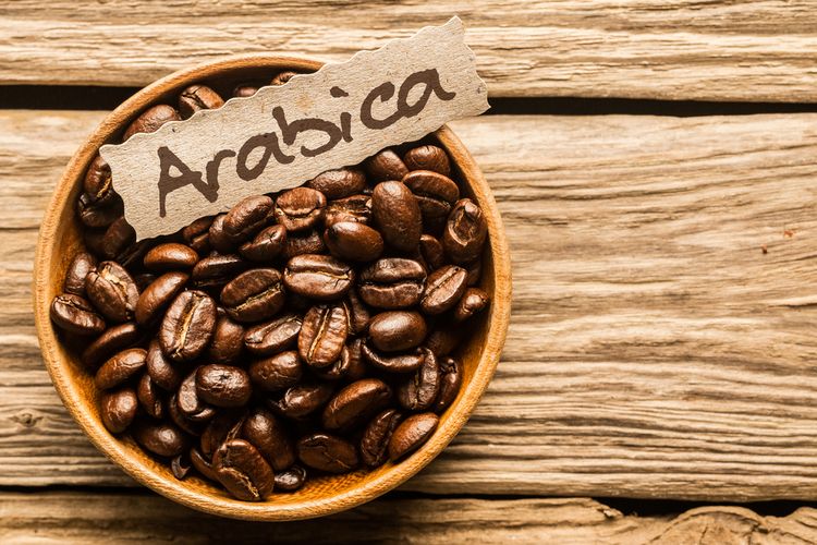 Ilustrasi kopi arabica