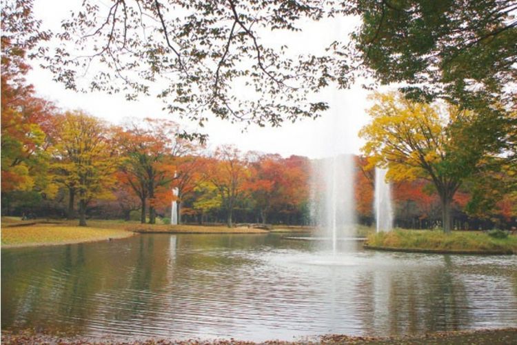 Taman Yoyogi 