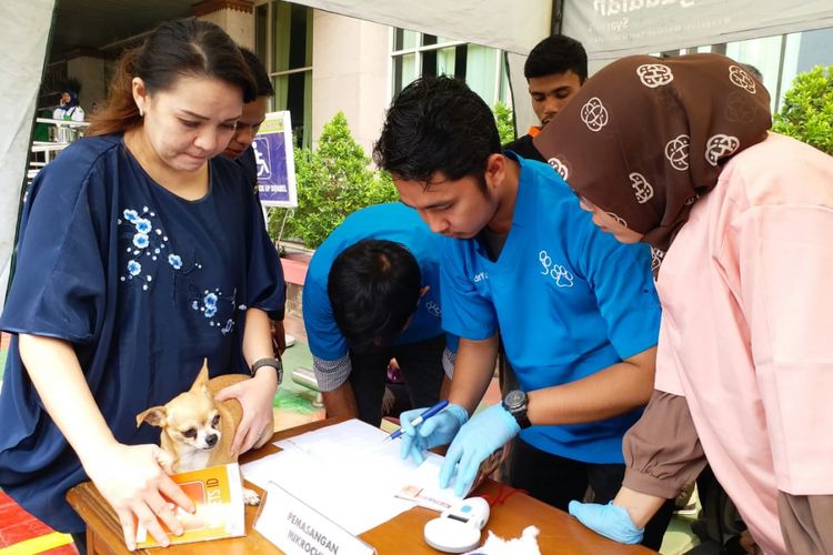Pemasangan mikrocip pada anjing di Kantor Wali Kota Jakarta Selatan, Selasa (30/10/2018).