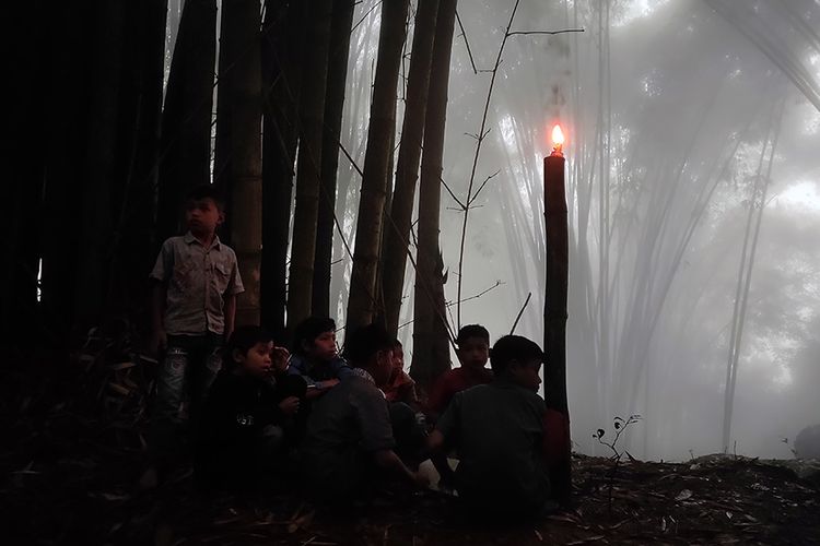 Hutan bambu saat tertutup kabut