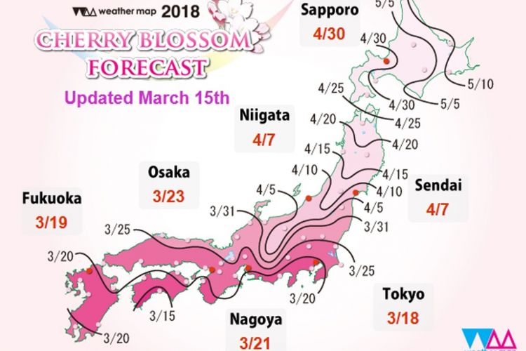 Jadwal mekar sakura di Jepang tahun 2018