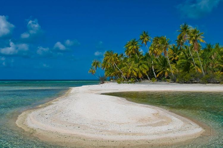 Pulau Motu Teta, Pulau Pribadi nan Eksotis di Polinesia yang dijual seharga Rp 42 Miliar.