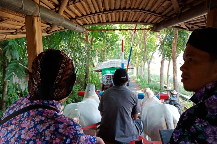 Wisatawan menaiki gerobak sapi yang masih beroperasi mengangkut wisatawan di Omah Kecebong, Desa Cebongan, Kabupaten Sleman, DIY, Rabu (9/5/2018).