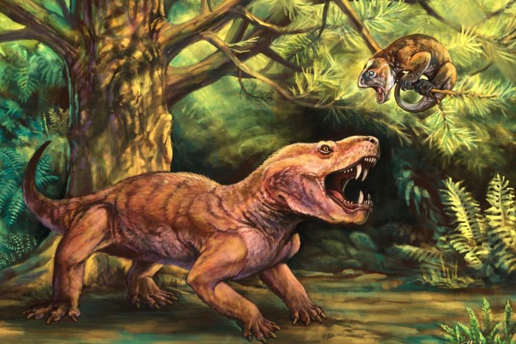 Peneliti temukan fosil spesies baru Gorynychus masyutinae, predator puncak di masanya