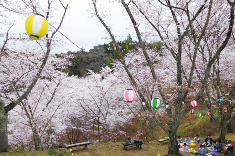 Naegi Sakura Park
