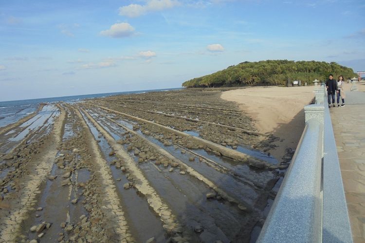 Papan bilas raksasa atau papan bilas iblis di Pulau Aoshima, Miyazaki, Jepang, tidak lain adalah formasi bebatuan alamiah.