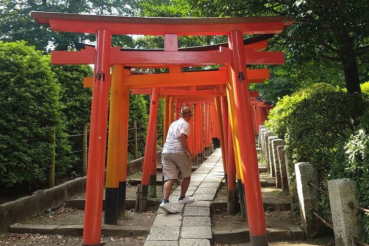 Gerbang bambu (torii) yang ada di Nezu Shrine, Tokyo.