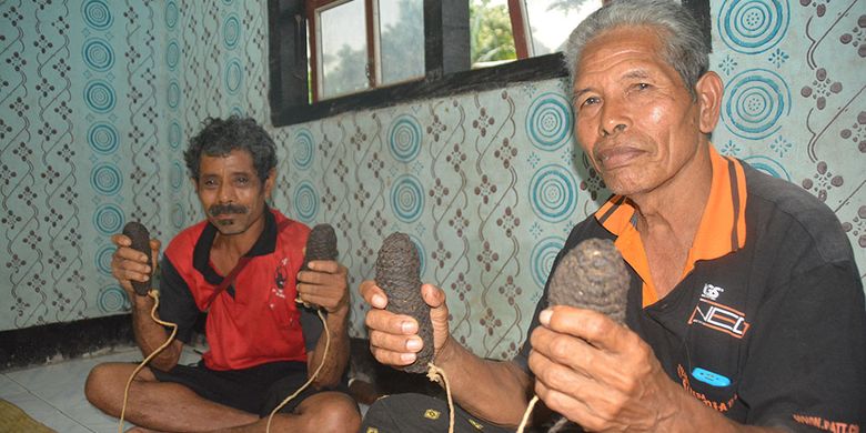 Alat Etu yang terbuat adari Ijuk Pohon Enau sebagai alat untuk bertarung satu lawan satu saat tradisi Etu dilangsungkan di Kampung adat Wulu Nua Puu, Desa Wuliwalo, Kecamatan Mauponggo, Kabupaten Nagekeo, Flores, NTT, Rabu (27/2/2019), dua Teke Mere atau pemangku adat memegang adat untuk Etu itu. 