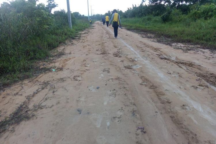 Akses jalan menuju lahan tanpa bakar di Desa Tanjung Putri, Aru Selatan, Kotawaringin Barat, Kalimantan Tengah