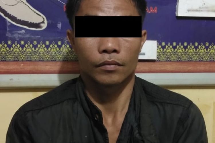 Pelaku pencabulan anak di bawah umur berinisial DD (33), diamankan di Polsek Kepenuhan, Kabupaten Rohul, Riau, Sabtu (15/6/2019). 