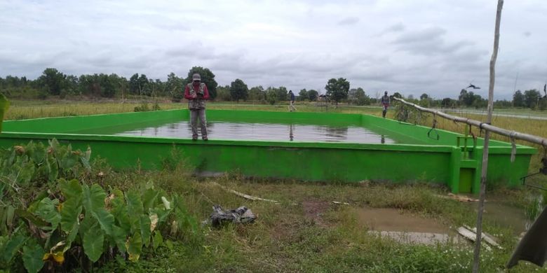 Kegiatan cetak sawah Kementan melalui Direktorat Jenderal Sarana dan Prasana Pertanian terbagi dua. Pertama cetak sawah yang sebenarnya atau dalam arti mengubah lahan tidur menjadi sawah serta optimalisasi lahan.