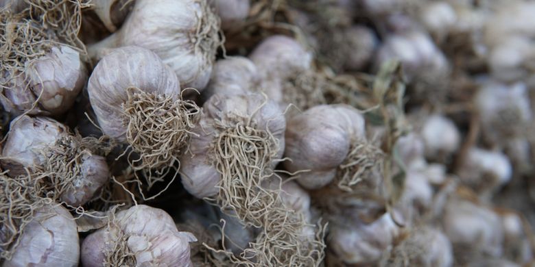 Kementerian Pertanian (Kementan) tengah gencar melakukan penanaman bawang putih di dalam negeri untuk mengejar target swasembada pada 2021