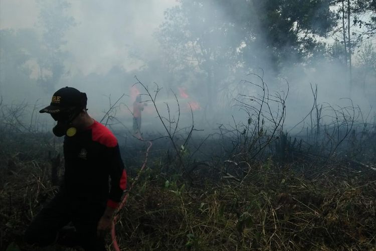 Sejumlah hutan dan lahan kosong yang ada di kawasan Kabupaten Bintan, Kepulauan Riau kembali ludes terbakar. Lokasi yang terbakar diketahui tersebar ada di beberapa titik mulai dari hutan hingga lahan kosong tersebut. Jika dijumlahkan totalnya lebih kurang mencapai 10 hektare.