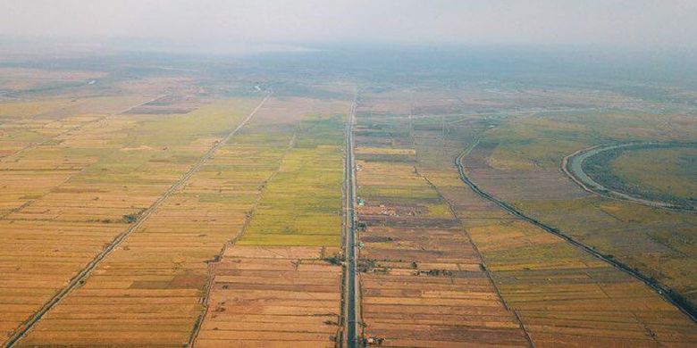 Lahan pertanian nampak dari udara