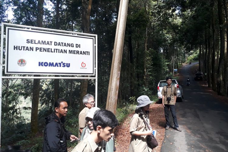 Sejumlah petugas dari Kementerian Lingkungan Hidup dan Kehutanan mendatangi lokasi penelitian pohon Meranti di kawasan hutan Gunung Dahu, Kamis (24/5/2018).