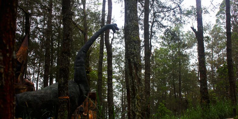 Braciosaurus setinggi 7 meter seperti terlihat asli berada di habitatnya di tengah hutan pinus dengan pohon raksasa di Dinosaurus Park. Pengelola taman wisata Mojosemi Forest  Park di Magetan, Jatim, menghadirkan wahana baru untuk menggaet pengunjung di musim libur lebaran 2019. Wahana Dinosaurus Park menghadirkan 20 jenis dinosaurus dengan ukuran yang sebenarnya.