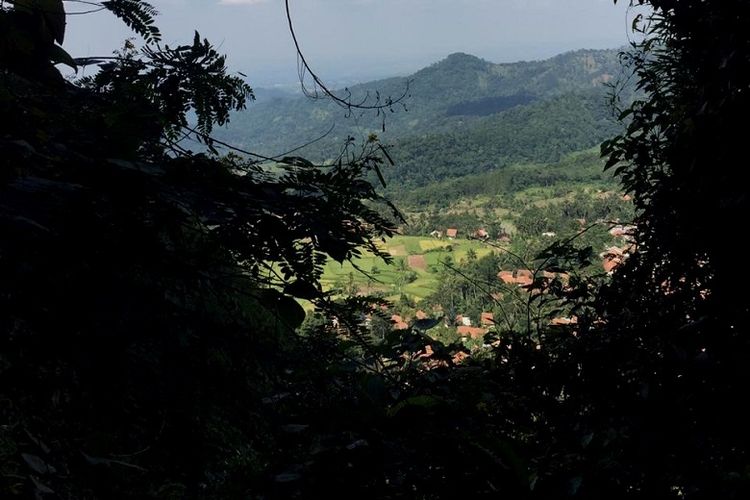 Pemandangan dari saat memanjat tebing Gunung Bongkok, Desa Sukamulya, Kecamatan Tegal Waru, Kabupaten Purwakarta, Jawa Barat, Minggu (14/4/2019). Gunung Bongkok merupakan salah satu titik wisata panjat tebing di Jawa Barat.