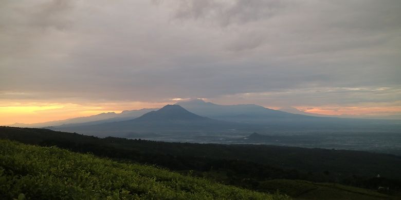 Suasana matahari terbit dilihat dari Puncak Kampung Baru Raya atau dikenal dengan sebutan Bukit Inspirasi di area Perkebunan Teh Kertowono, Desa Guci Alit, Kecamatan Guci Alit, Kabupaten Lumajang, Jawa Timur, Senin (10/5/2017). Wisatawan bisa melihat panorama gunung-gunung seperti Gunung Semeru, Lemongan, Raung, dan Argopuro dari Bukit Inspirasi.