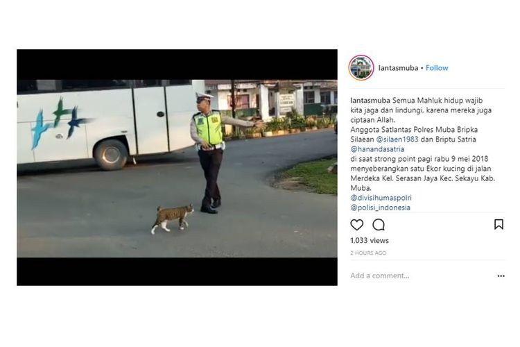 Cuplikan video yang viral, Rabu (9/5/2018), saat seorang polisi menyeberangkan seekor kucing. Polisi itu adalah Briptu Satria, petugas di Polres Musi Banyuasin, Sumatera Selatan.