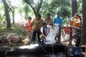 Sandiaga Gelar Sayembara untuk Nama Taman di Monas