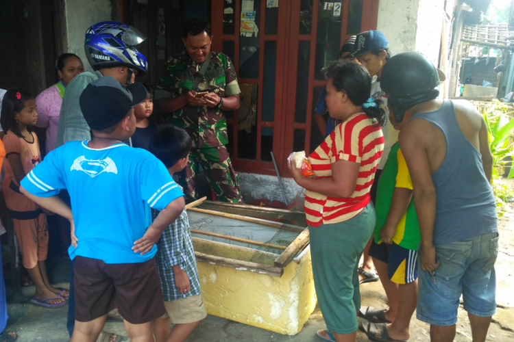 Warga menonton ular jenis phyton yang ditemukan di lingkungan Kademangan, Kelurahan Lirboyo, Kota Kediri, Jawa Timur, Rabu (18/4/2018).