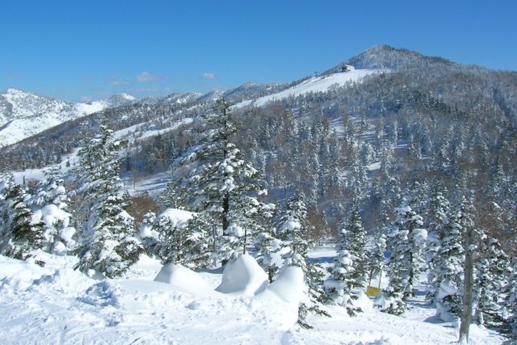 Gunung berselimut salju di Sapporo, Hokkaido, Jepang.