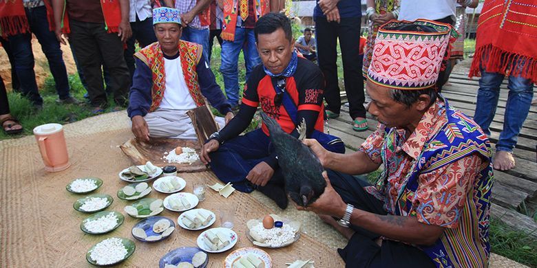 Rangkaian adat penyambutan yang dilakukan oleh tetua adat yang menyambut para peserta Bersepeda di Jantung Borneo, Kalbar, Sabtu (28/10/2017).