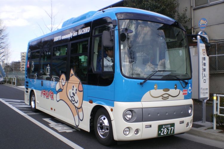 Bus Hachiko
